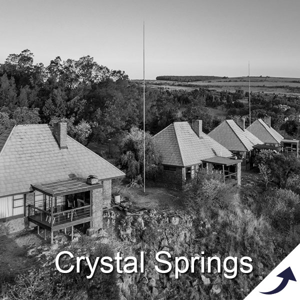 Vacation Recreational Services Shareholder Newsletters