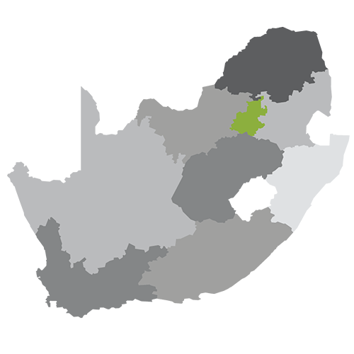Gauteng South Africa