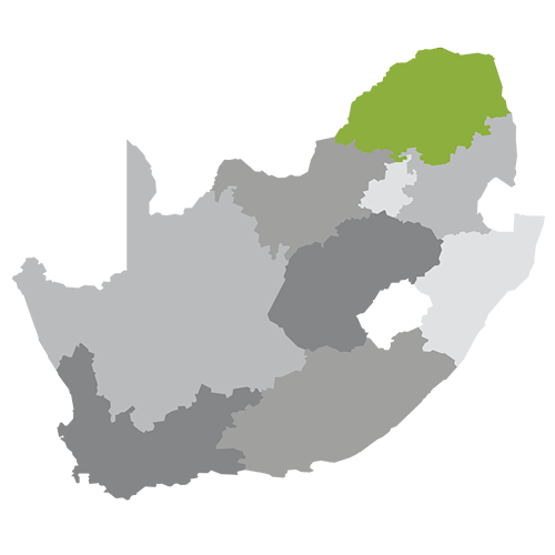 Limpopo South Africa