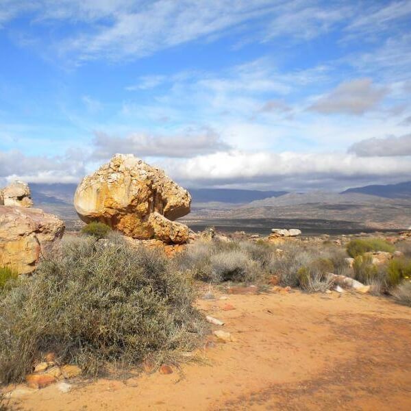 Kagga Kamma