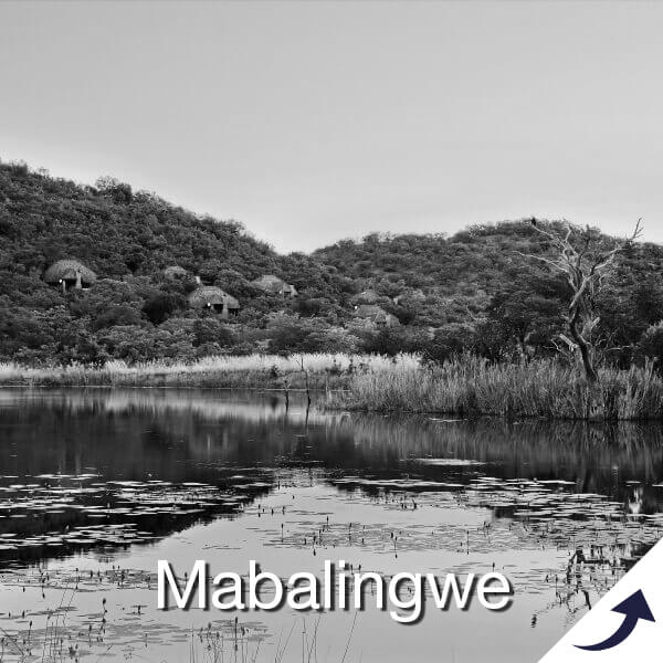 Mabalingwe Nature Reserve