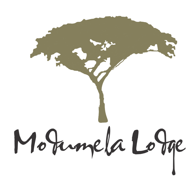 Modumela Logo