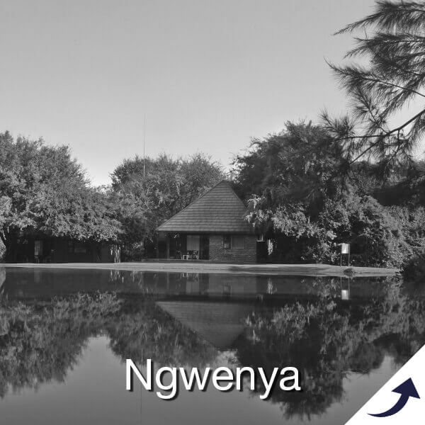 Ngwenya Lodge