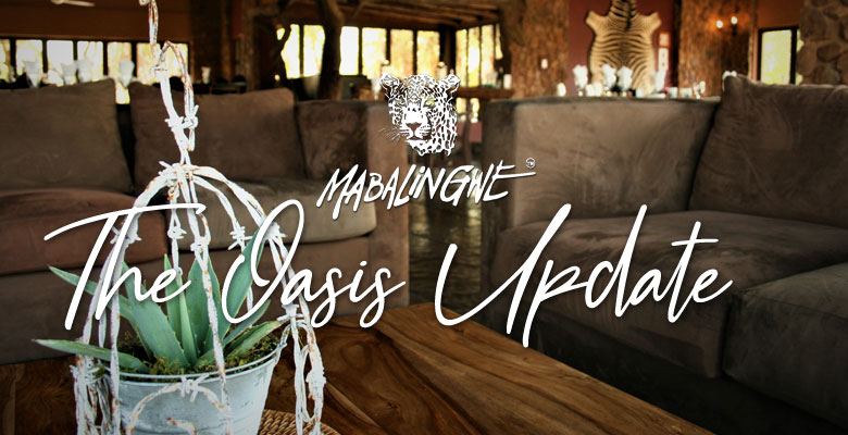 Mabalingwe - The Oasis Update