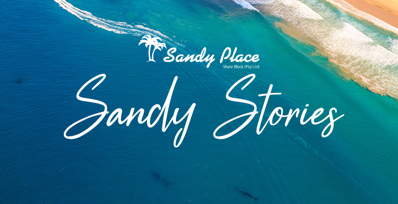 Sandy Stories
