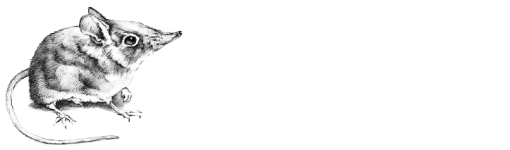 Cabin-Fever-Blue bygones!