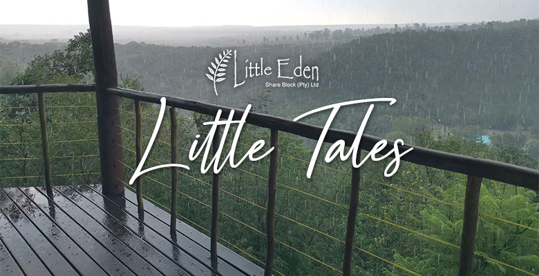 Little Eden - Little Tales