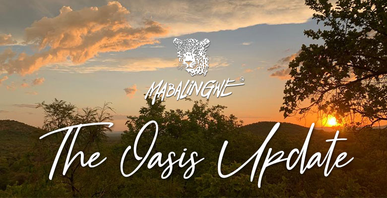 Mabalingwe - The Oasis Update