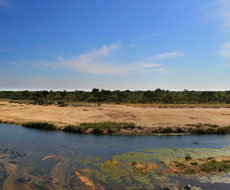 The Danger of Cell Connection at KNP 