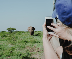 The Danger of Cell Connection at KNP 