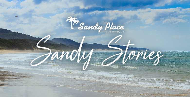 Sandy Stories