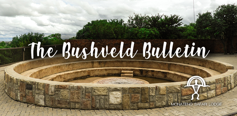 The Bushveld Bulletin