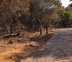 Hippo Fence