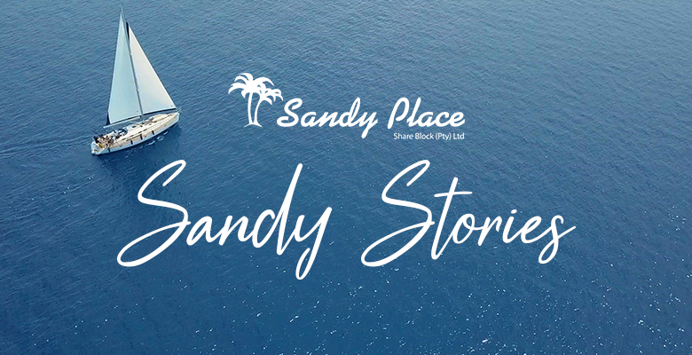 Sandy Stories