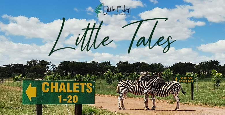 Little Eden - Little Tales