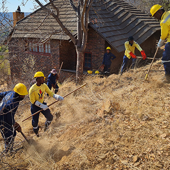 Bush and Veld Clearing around units