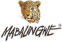 Mabalingwe