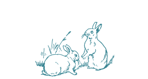 Rabbits