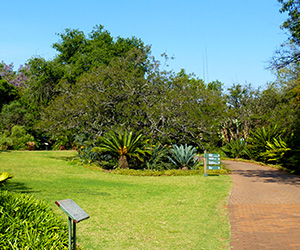 Pretoria Botanical Gardens