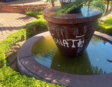 Fountain at Recreation Area