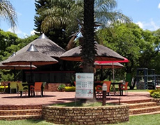 Re-thatching of Umbrellas