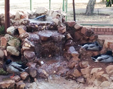 Waterfall System at 
Animal Farm