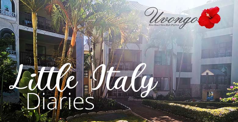 Little Italy Diaries