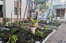 gardens