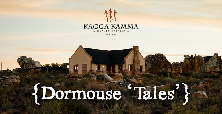 Mabalingwe - The Oasis Update