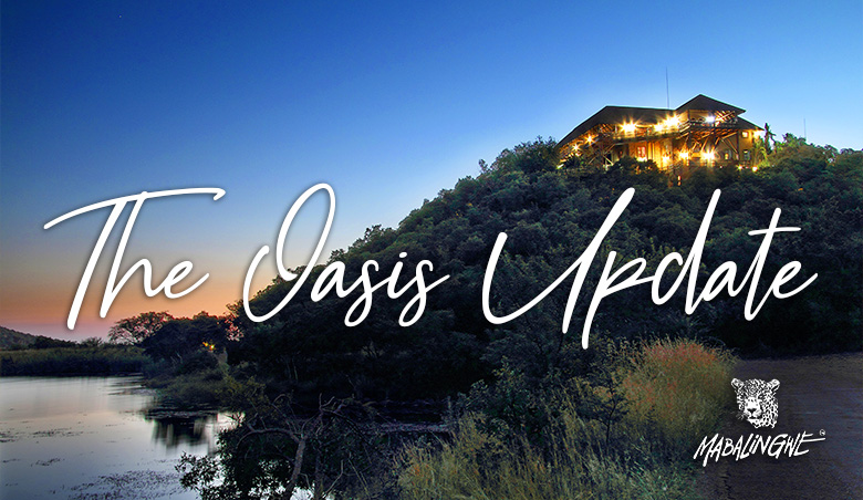 Mabalingwe - The Oasis Update